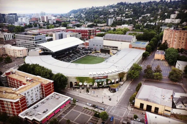 Seattlesportsonline Review: What It Is, Features, Safety, and Alternatives